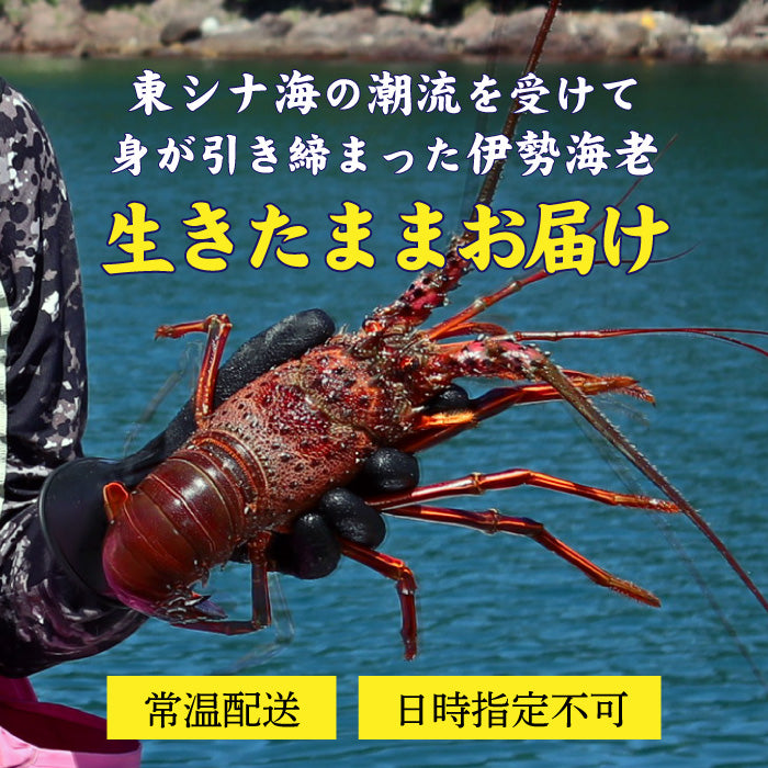 備前焼、宝瓶、摘み伊勢海老 備前焼、宝瓶、摘み伊勢海老