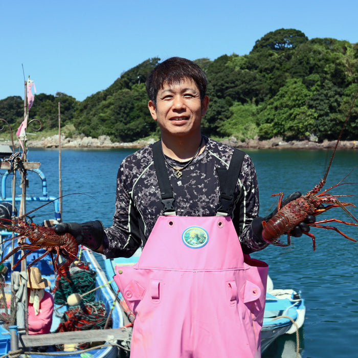 期間限定】天然 阿久根産 伊勢海老 1kg（3～4尾）