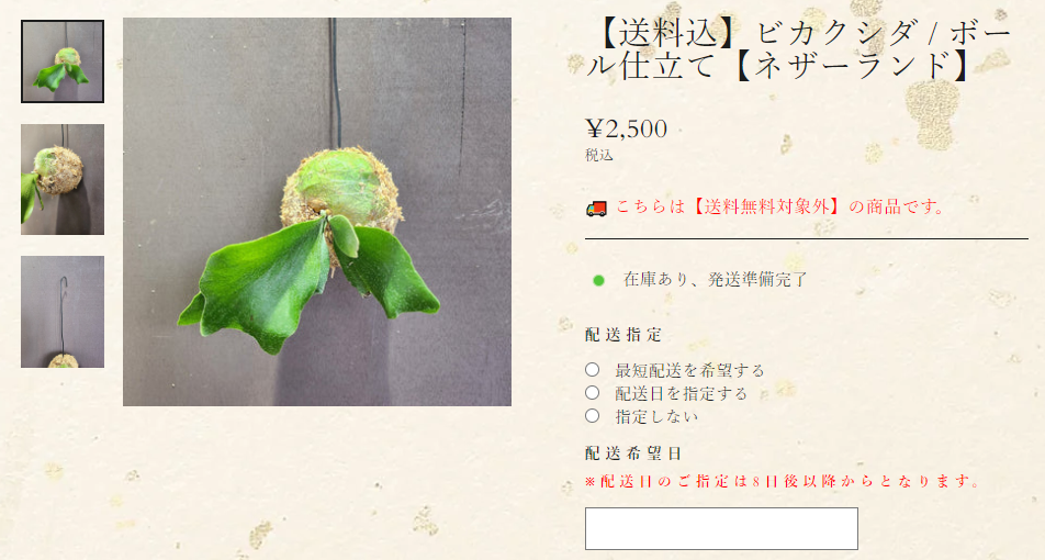 全国送料無料キャンペーン