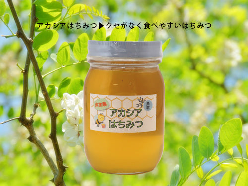 国産 純粋はちみつ 500g 古田ミツバチ農園
