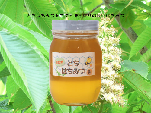 国産 純粋はちみつ 500g 古田ミツバチ農園