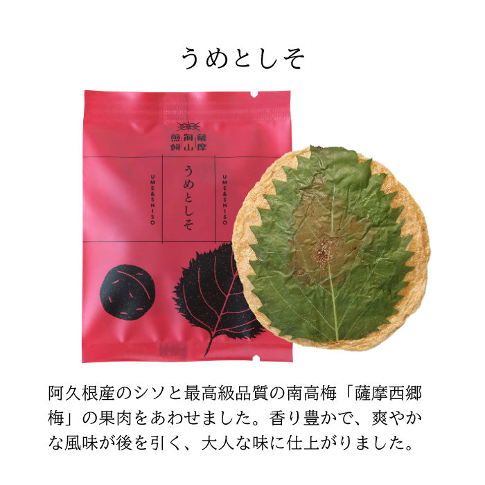 薩摩海山煎餅 5枚入り (うめとしそ) さつま揚げ 煎餅 ギフト