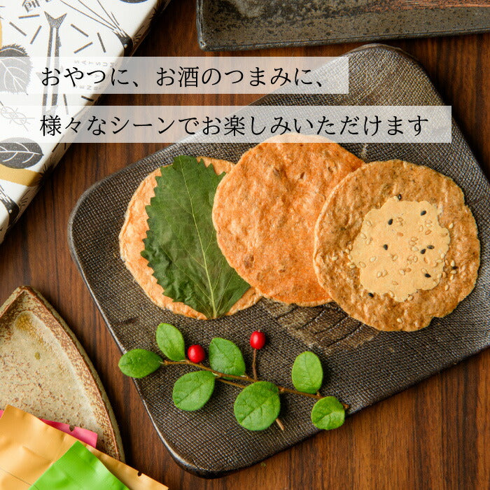 薩摩海山煎餅 (山幸) 15枚入り さつま揚げ 煎餅 ギフト 鹿児島 お土産
